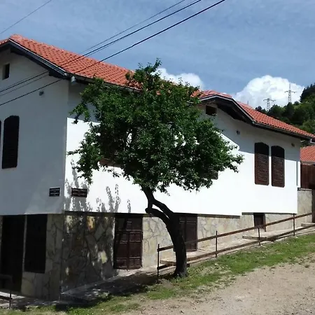 марияна * Tvŭrditsa