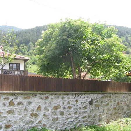 марияна Penzion